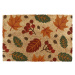 Rohožka z kokosového vlákna 60x90 cm Autumn Leaves – Artsy Doormats