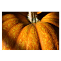 Fotografie Pumpkin Skin Texture, Nicholas Kostin, 40 × 26.7 cm