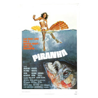 Ilustrace Piranha, 26.7 × 40 cm