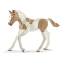 Schleich Hříbě plemene Paint Horse