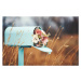 Fotografie Pastel teal mailbox with bouquet of flowers, CatLane, 40x26.7 cm