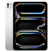 Apple iPad Pro 11" (2024) 2 TB (Nanotextura) Wi-Fi stříbrný Stříbrná