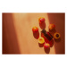 Fotografie Top down flat lay orange colorful, Alferova, (40 x 26.7 cm)