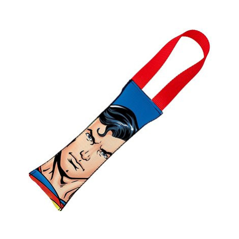 Buckle Down hračka pro psy Superman odolná házecí 38 cm Buckle-Down