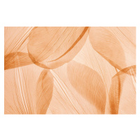 Fotografie Nature pattern of dry petals, transparent, yrabota, 40 × 26.7 cm