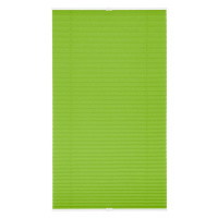 Lichtblick Plisovaná roleta, od 45 x 130 cm (60 x 210 cm, zelená)