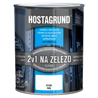 Hostagrund S2160 0100 bílý 0.6l