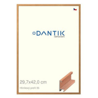 DANTIK rámeček 29,7 × 42, ALU profil 6035 Dýha třešeň plexi čiré