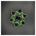 Křišťálové sklo - Lotosový květ Basic, Zelená