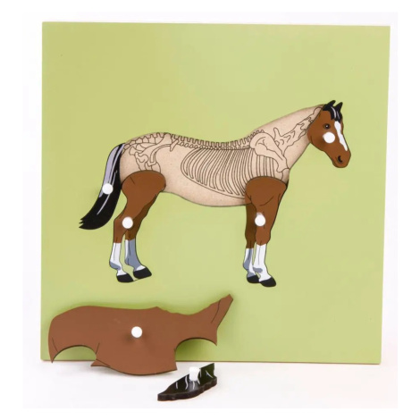 Montessori pomůcky Puzzle s kostrou - kůň
