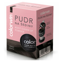 COLORWIN Pudr na šediny černý 3,2 g