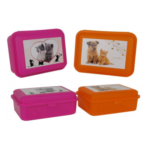 TVAR - Box svačinový barevný kočka a pes, Mix barev
