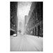 Fotografie New York Walker in Blizzard, Martin Froyda, 26.7 × 40 cm