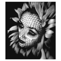 Fotografie The Flower, Oren Hayman, (35 x 40 cm)