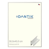 DANTIK rámeček 30 × 40, ALU profil 6030 Dýha bílý plexi čiré