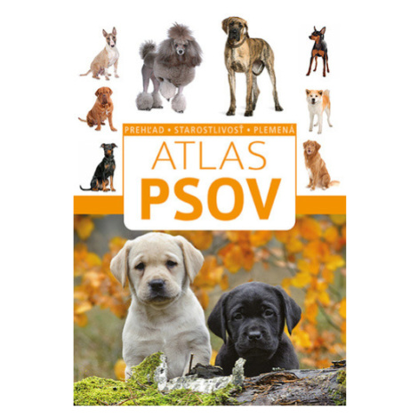 Atlas psov - Anna Bizioreková