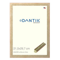 DANTIK rámeček 21 × 29,7, ANDRE stříbrný sklo čiré