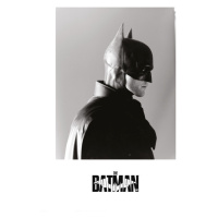 Umělecký tisk The Batman 2022 - Bat profile, (26.7 x 40 cm)