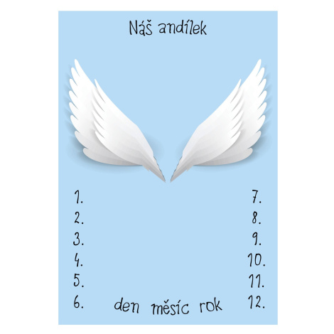 ELIS DESIGN Milníková deka na focení miminek Andělská křídla modrá varianta: bez jména miminka Elisdesign
