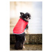 Vsepropejska Sonda oboustranná bunda pro psa Barva: Růžová, Délka zad (cm): 45, Obvod hrudníku: 
