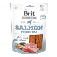 Brit pamlsky Jerky Salmon Protein Bar 80 g