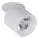 LED Podhledové bodové svítidlo HARON 1xLED/10W/230V bílá