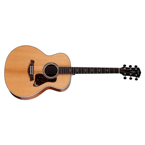 Taylor Gold Label 814e