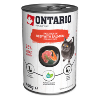Konzerva Ontario Beef with Salmon flavoured with Spirulina 400g