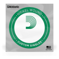 D'Addario NW034