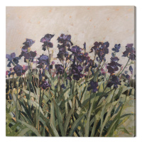 Obraz na plátně Anne-Marie Butlin - May Garden, (60 x 60 cm)