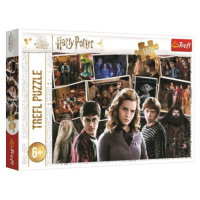 Trefl Puzzle Harry Potter s přáteli 160 dílků Matyska a.s.