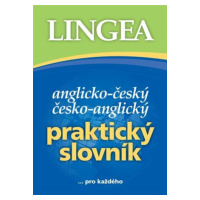 Anglicko-český a česko-anglický Praktický slovník