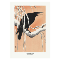 Ilustrace Crow On Snowy Branch, Studio Collection, 30x40 cm