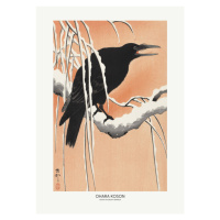 Ilustrace Crow On Snowy Branch, Studio Collection, 30 × 40 cm