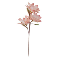 Ambia Home UMĚLÁ KVĚTINA magnolie 90 cm