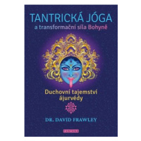 Tantrická jóga a transformační síla Bohyně - David Frawley