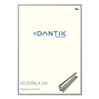 DANTIK rámeček 42 × 59,4, ALU profil 7002 Stříbrný matný plexi čiré