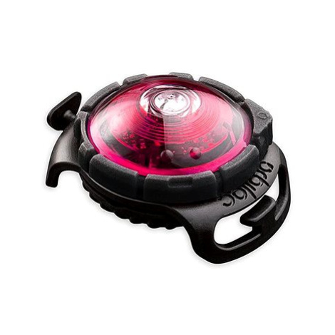 Orbiloc Pink LED