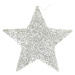 Dekoria Vánoční ozdoba Star Silver 25 cm, 25x25x0,5 cm