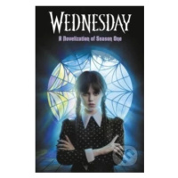 Wednesday: A Novelisation of Season One - Tehlor Kay Mejia - kniha z kategorie Sci-fi, fantasy a