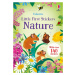 Little First Stickers Nature Usborne Publishing