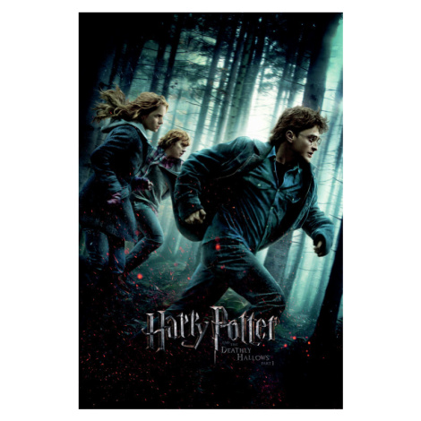 Umělecký tisk Harry Potter - Relikvie smrti, 26.7x40 cm