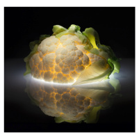 Fotografie Cauliflower, Wieteke de Kogel, 40 × 40 cm