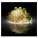 Fotografie Cauliflower, Wieteke de Kogel, 40 × 40 cm