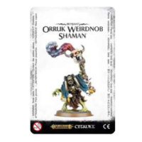 Warhammer AoS - Orruk Weirdnob Shaman