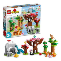 LEGO® DUPLO® 10974 Divoká zvířata Asie