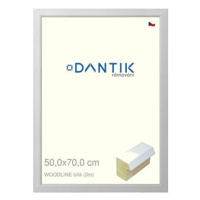 DANTIK rámeček 50 × 70, WOODLINE bílý plexi čiré