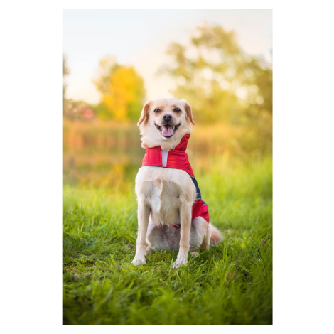 Vsepropejska Collar bunda pro psa s reflexními prvky Barva: Modrá, Délka zad (cm): 33, Obvod hru