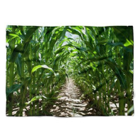 IMPAR Fleecová deka Kukuřičné pole, 150 × 120 cm