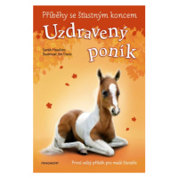 Příběhy se šťastným koncem: Uzdravený poník - Sarah Hawkins